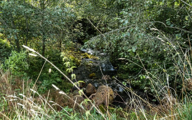 Частный дом с 2-мя спальнями и кухней-гостиной