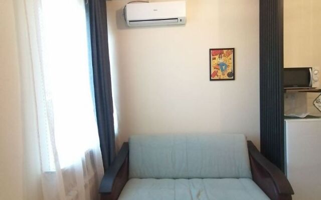 Квартира с панорамным видом на Волгу