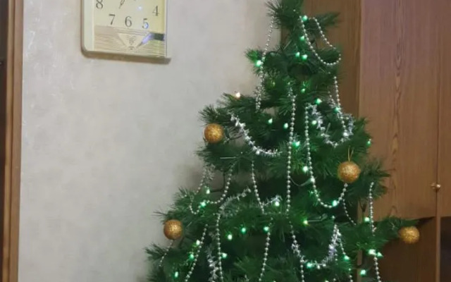 Апартаменты на Чайковского 16