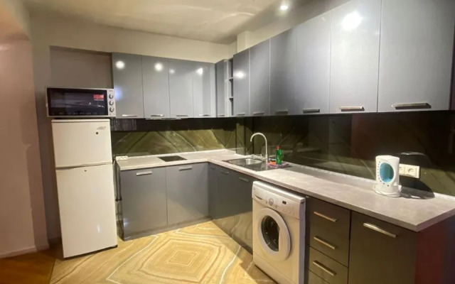Perte House Apartment's on Pushkin 43 Street Apartments