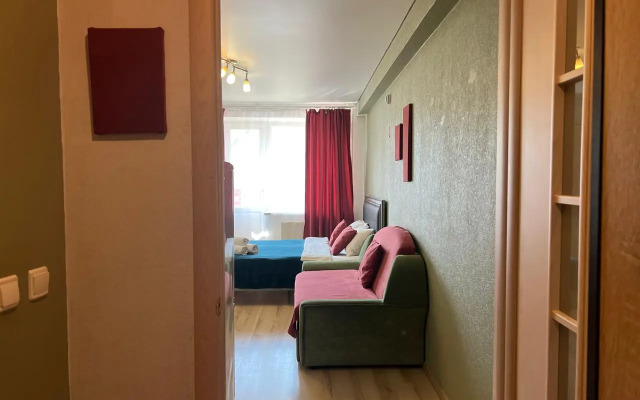 Na Saburova 17 Apartments