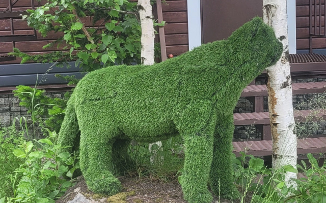 Частный дом Ирбис 4