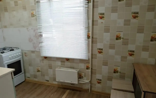 Odnokomnatnyie Ekonom Apartments