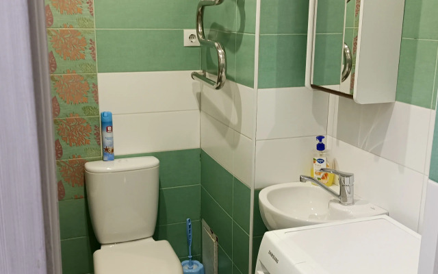 Na Vinogradnoy 22/1B Apartments