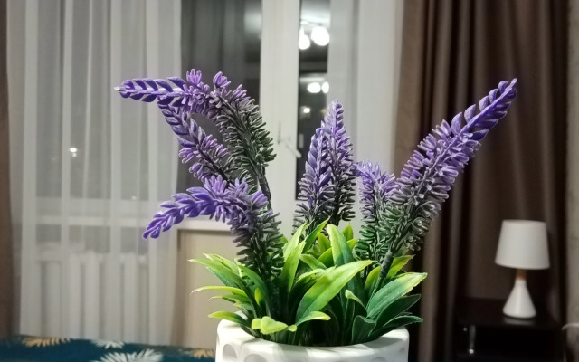 Квартира Уютная