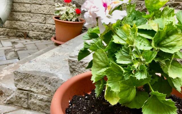 Апартаменты В стране чудес