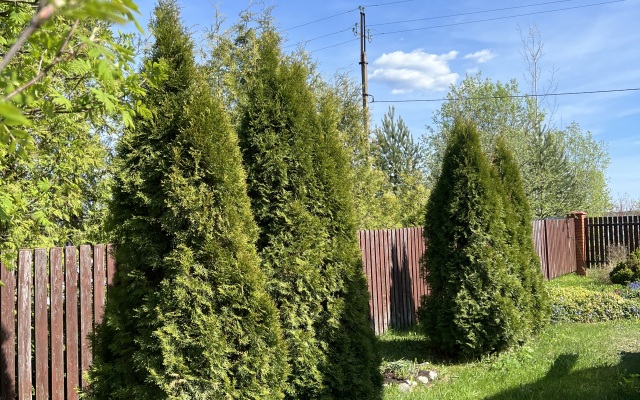 Гостевой дом Русский с баней у озера