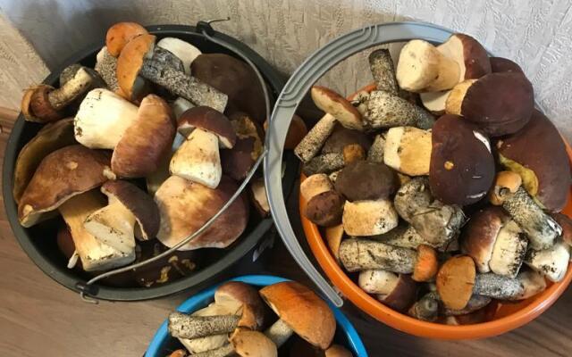 Частный дом Загородный дом у Невы