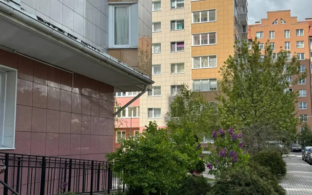 V Tsentralnom Rayone Flat