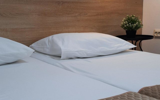 Amosov Guest House