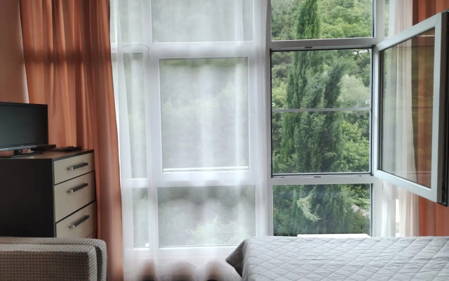 Svirskaya Tishina Guest House