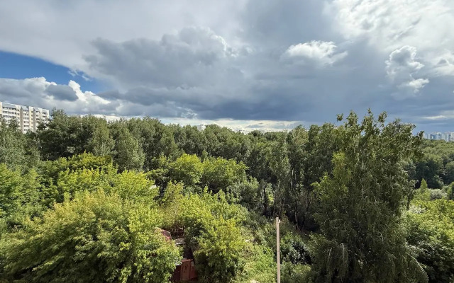Ryadom s novym Avtovokzalom Flat