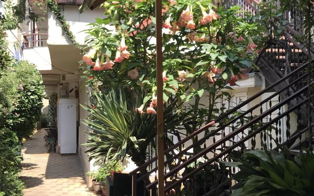 Alyans Guest House