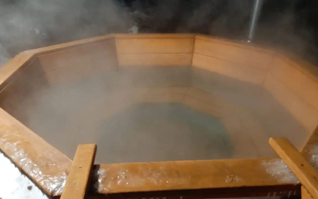 Частный дом Ирбис