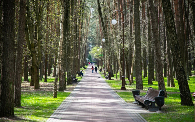 Апартаменты Облако над парком на 18 этаже