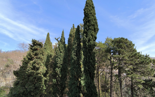 S Balkonom I Vidom Na Sosnovy Bor Flat