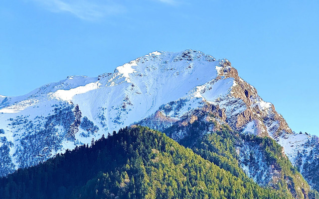 Гостевой дом Hayat Haus