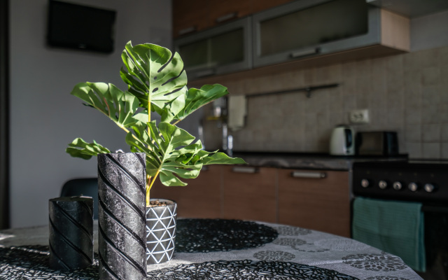 Апартаменты Морошка на Дачном