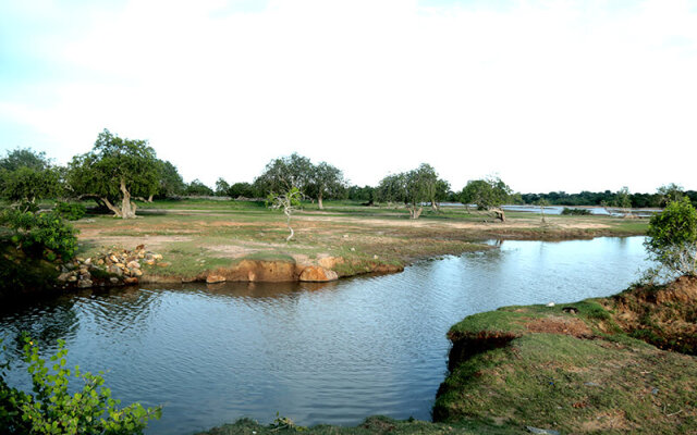 Camping Yala Hotel Ravana luxury Safari Camp Tents