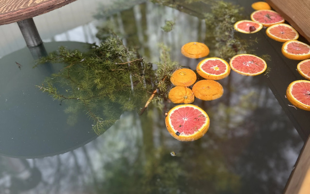 Частный дом Лешего в самом центре леса