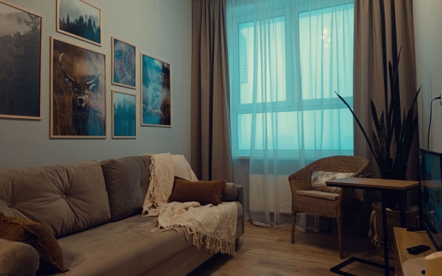 Uyutnye apartamenty Flat