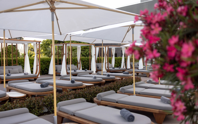 Radisson Collection Paradiz SPA, Soci