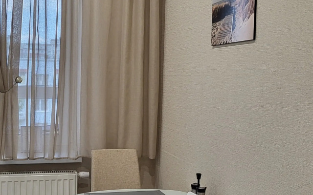 V Tsentre Ribnaya Derevnya U Kanta Apartments
