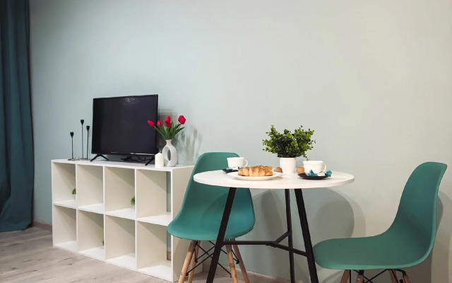Biryuzovaya komnata v tsentre goroda furnished room