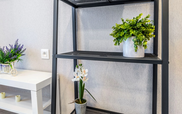 Апартаменты Студия рядом с ветром и Аэропортом