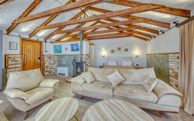 Hotel Alpine Castle