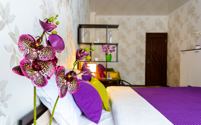 Квартира Дикая Орхидея в районе парка. Сеть Мята