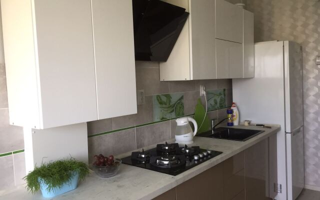 V Serdtse Goroda Kaliningrad Apartments
