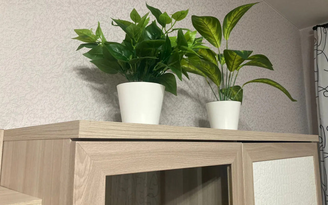 Квартира 1 Серебряный Век на Берегу Водохранилища