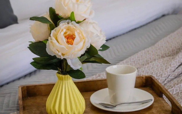 Апартаменты City Plus