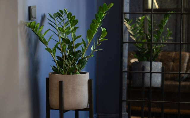 Апартаменты Jail-apart