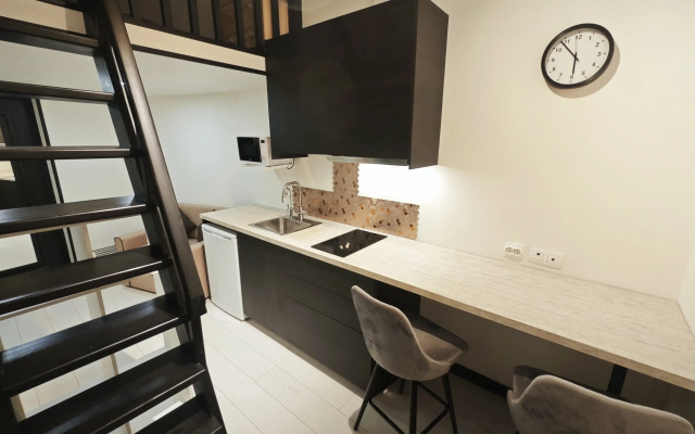 Апартаменты Двухуровневая студия в исторической части города