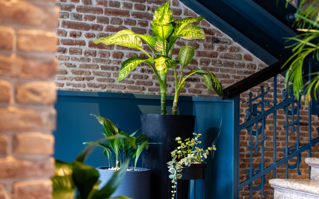 Отель Nobo Tbilisi