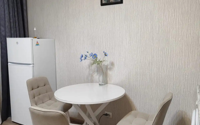 Квартира в центре Пятигорска