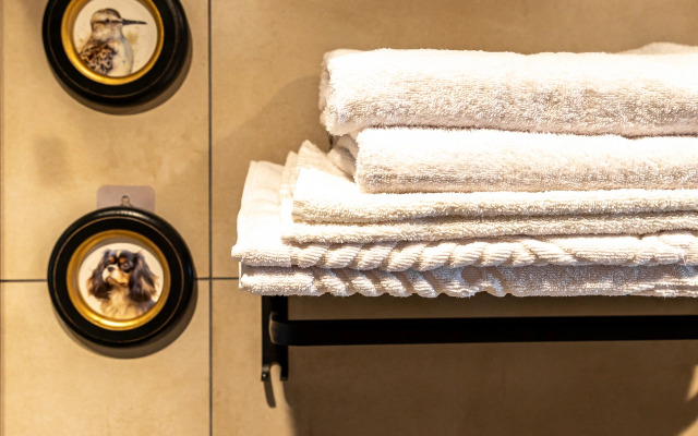 Апартаменты Премиальные в центре Санкт-Петербурга  4