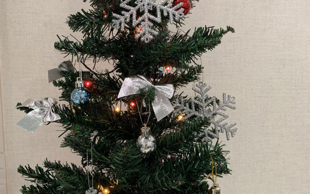 Квартира Уютная студия с панорамными окнами