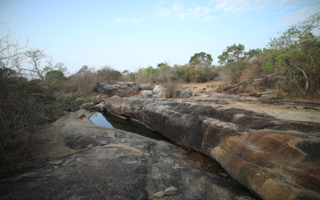 Topan Yala – Luxury Tented Safari