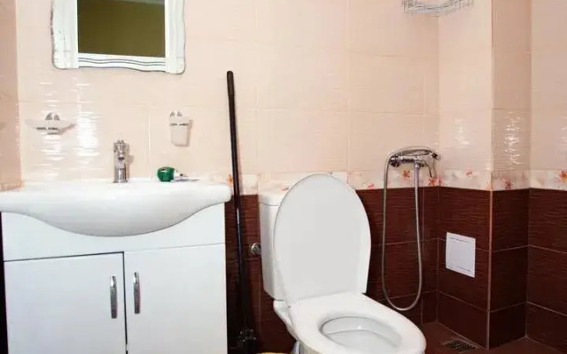 Bronau Asya Guest house