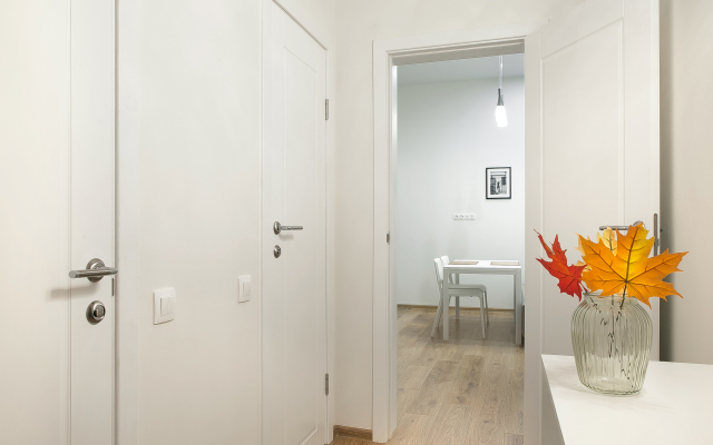 Апартаменты у Кузнечного рынка