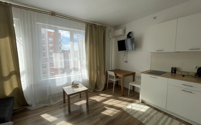 Studiya s panoramnymi oknami Flat