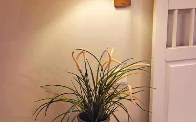 Апартаменты Светогор