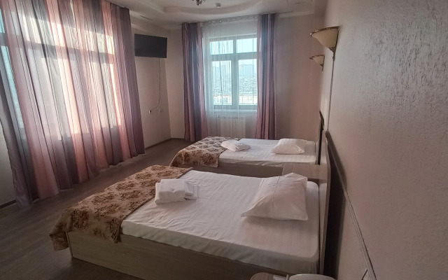 Smart Hotel KDO Krasnoyarsk Hotel