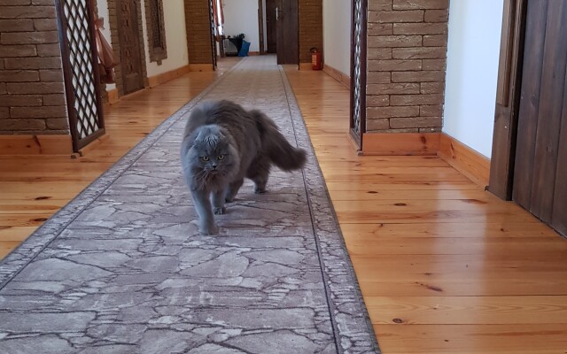 Гостевой дом Дом Ершова