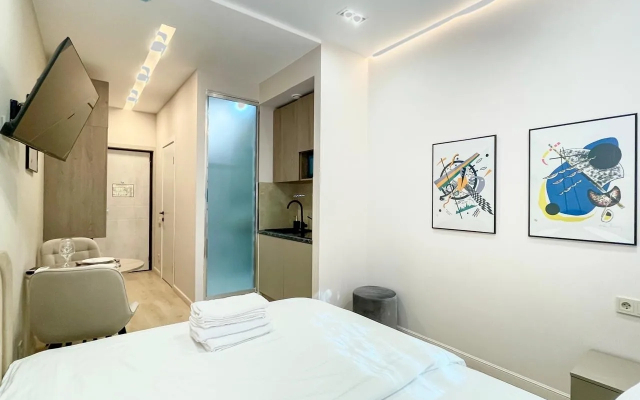 Апартаменты Уютная студия у Ленинградского рынка