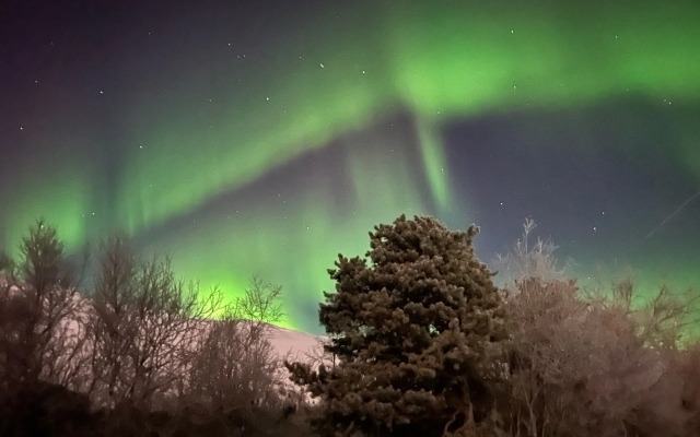 Квартира Уютная на Олимпийской