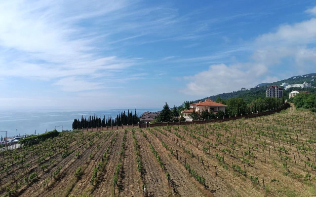 S Panoramnym Vidom Na More Apartments